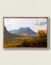 FRAMED CANVAS - On the Meall trail in Bhuiridh, Scotland