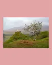 Mouton des Highlands – Fairy Glen - Aluminium