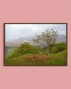 Mouton des Highlands – Fairy Glen - Poster encadré
