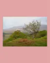 Mouton des Highlands – Fairy Glen - Tirage d’art