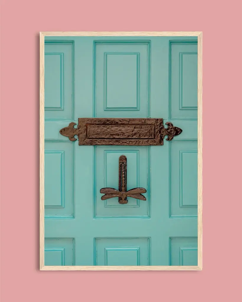 Photographie Porte Turquoise & Heurtoir Libellule – Décoration Murale Bohème – Photo de Voyage France – Tournon-d’Agenais - Poster encadré