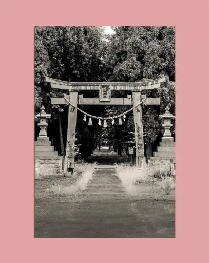 Torii ancien forêt – Photo d’art Japon - Aluminium
