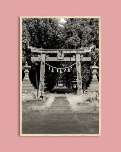 Torii ancien forêt – Photo d’art Japon - Poster encadré