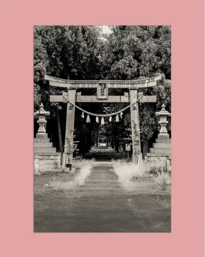 Torii ancien forêt – Photo d’art Japon - Tirage d'art
