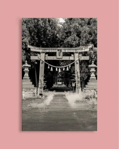 Torii ancien forêt – Photo d’art Japon - Toile
