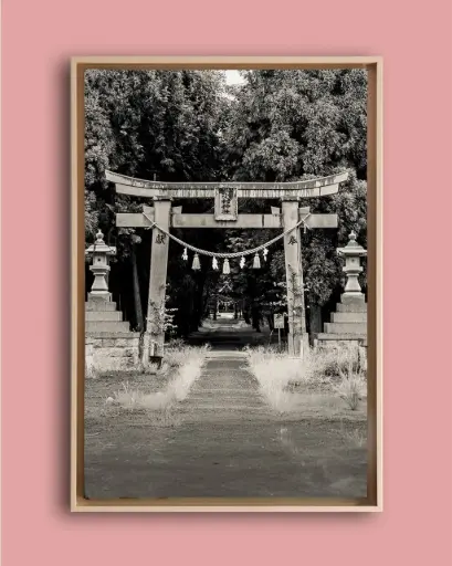 Torii ancien forêt – Photo d’art Japon - Toile encadrée