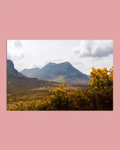 Glencoe – Montagnes et fleurs jaunes - Aluminium