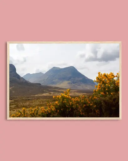 Glencoe – Montagnes et fleurs jaunes - Poster encadré