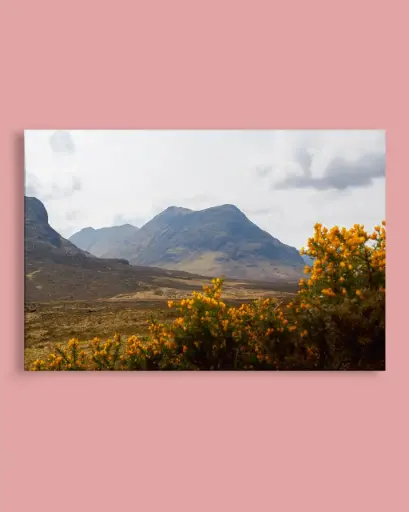 Glencoe – Montagnes et fleurs jaunes - Toile
