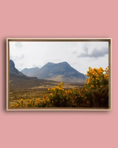 Glencoe – Montagnes et fleurs jaunes - Toile encadrée